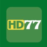 HD77 Game