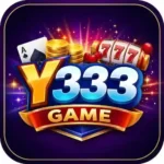 Y333 Game